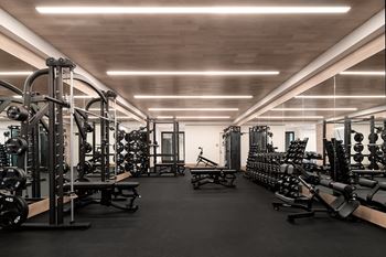 A gym filled with weights and other exercise equipment
